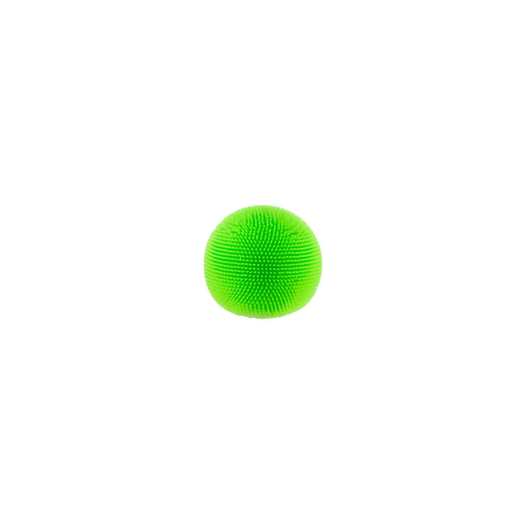 MPFZBND_Image9
